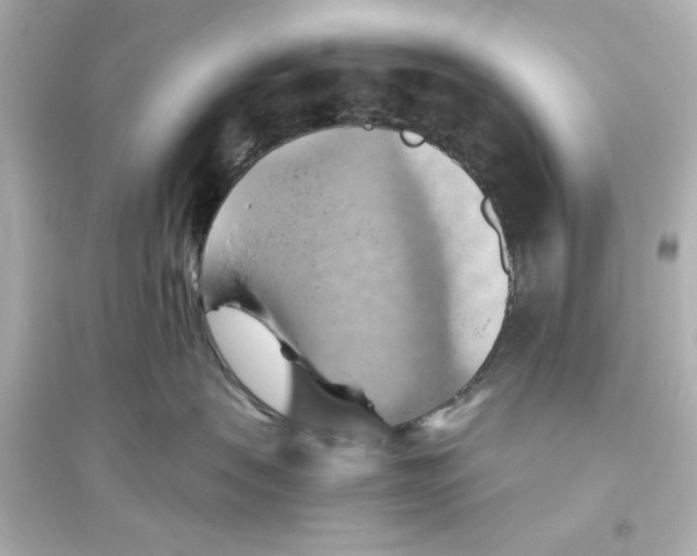 X0000093560479200711121018