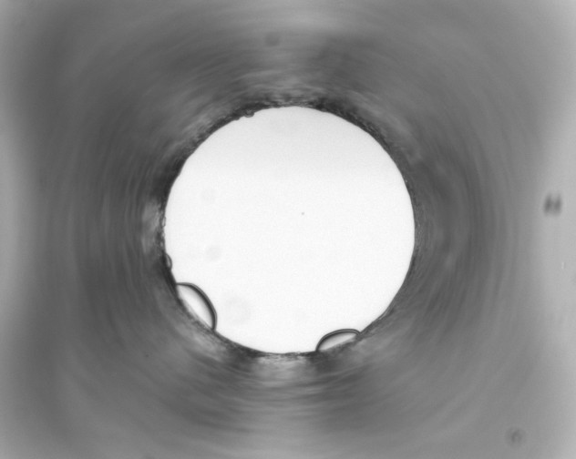 X0000093560480200711121018