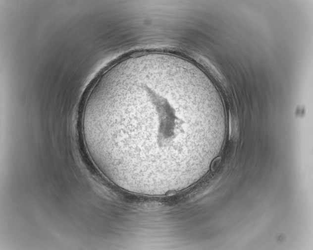 X0000093560483200711121017