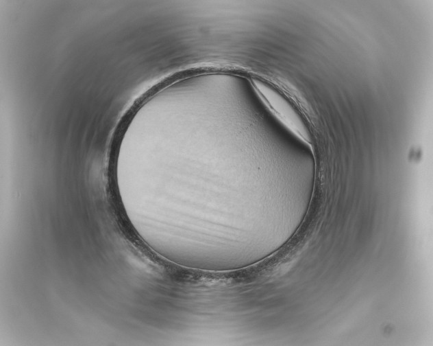 X0000093560484200711121017