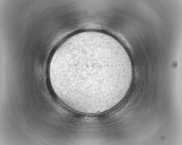 X0000093560487200711121017