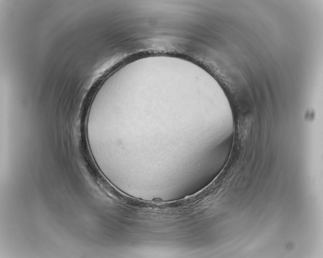 X0000093560488200711121017