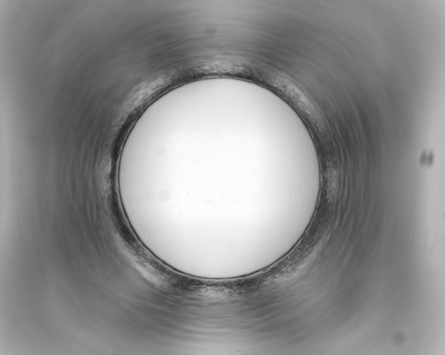 X0000093560490200711121017