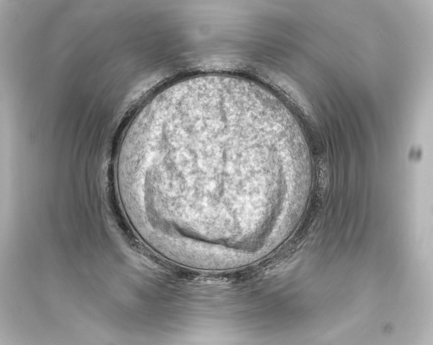 X0000093560491200711121017