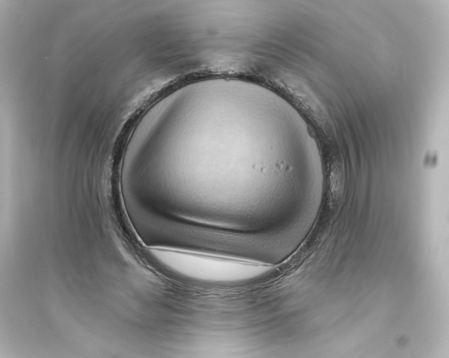 X0000093560492200711121017