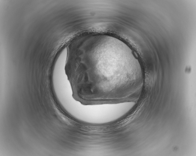 X0000093560493200711121017