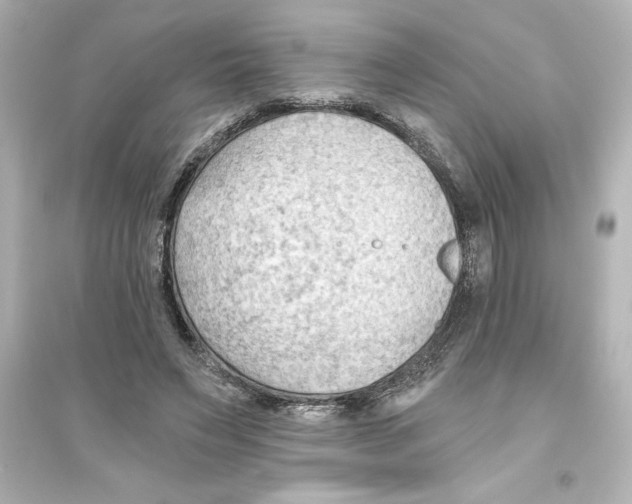X0000093560495200711121017