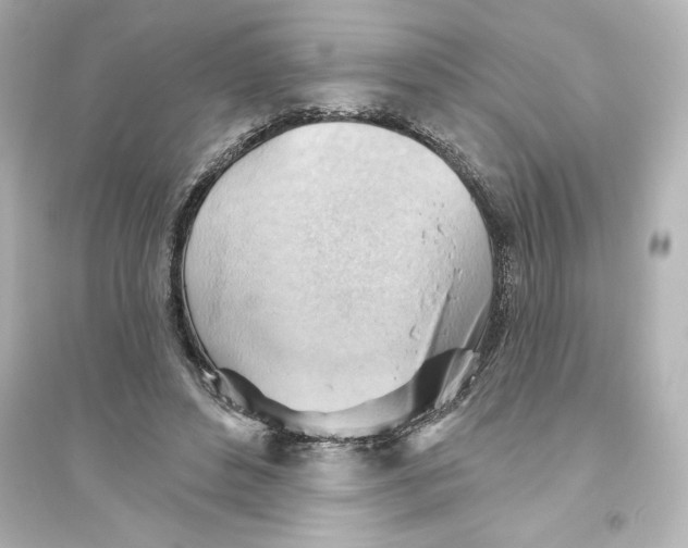 X0000093560496200711121017