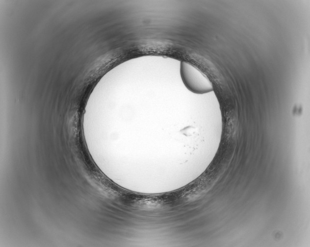X0000093560498200711121017