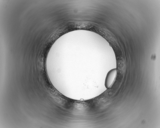 X0000093560510200711121017
