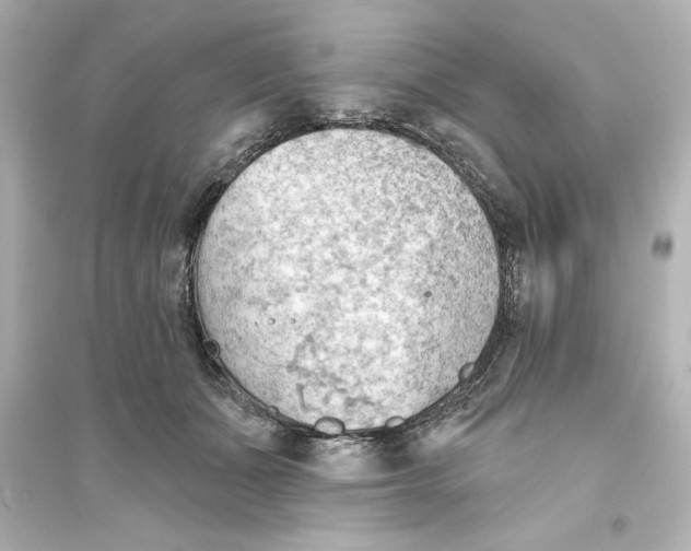X0000093560511200711121017