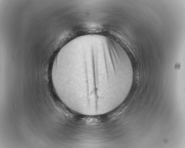 X0000093560512200711121017
