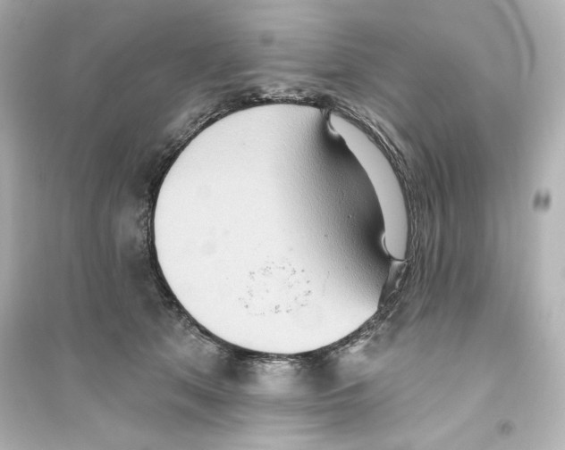 X0000093560513200711121017