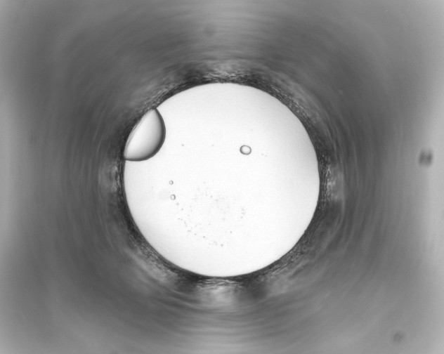 X0000093560514200711121017