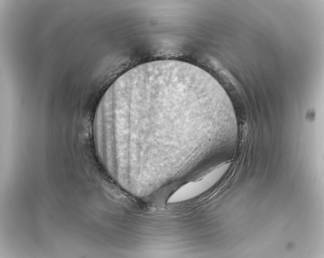X0000093560517200711121017