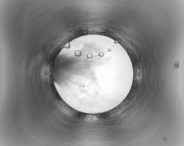 X0000093560519200711121017