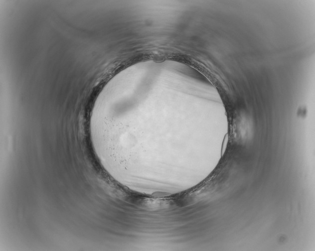 X0000093560520200711121017