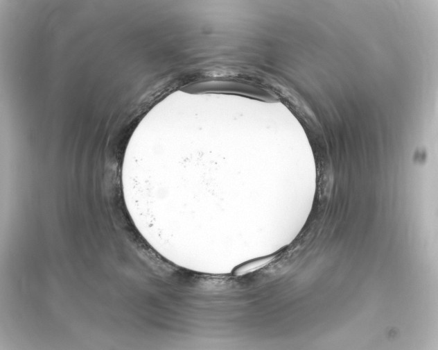 X0000093560521200711121017