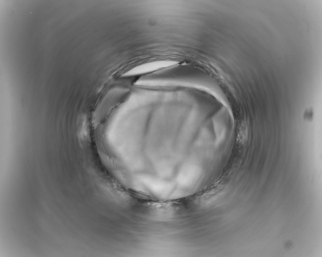 X0000093560524200711121017