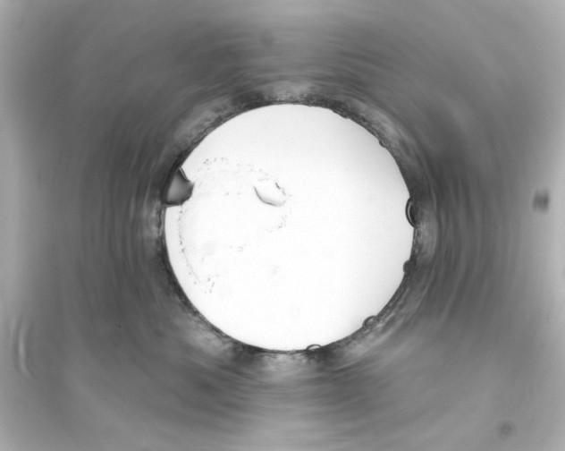 X0000093560525200711121017