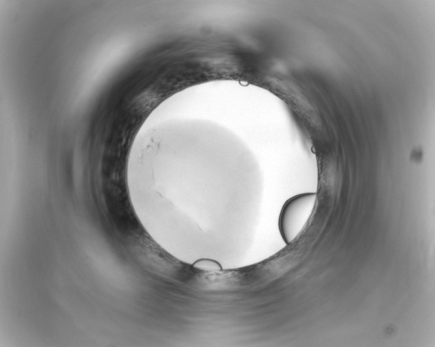 X0000093560526200711121017