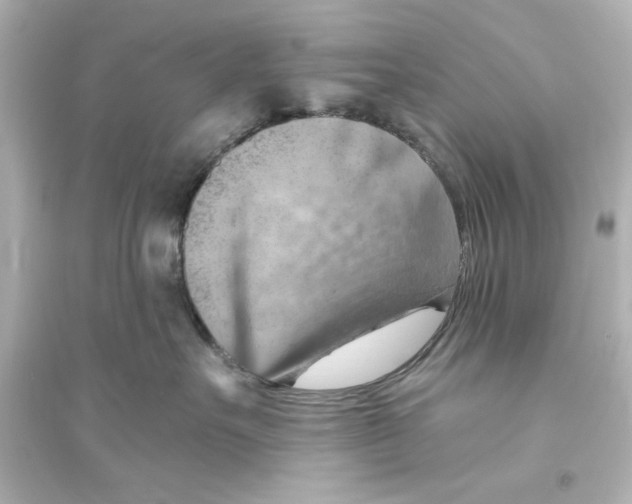 X0000093560527200711121017