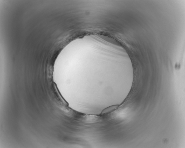 X0000093560528200711121017