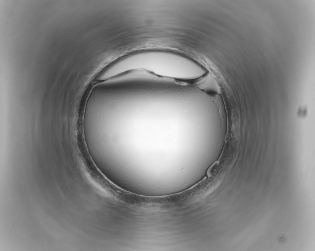 X0000093560530200711121016