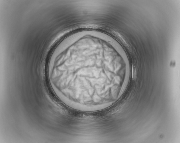 X0000093560531200711121016