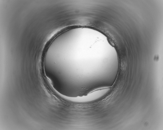 X0000093560532200711121016