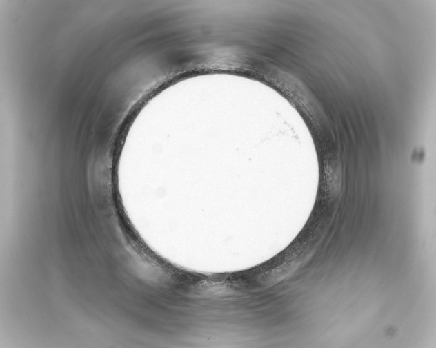 X0000093560534200711121016