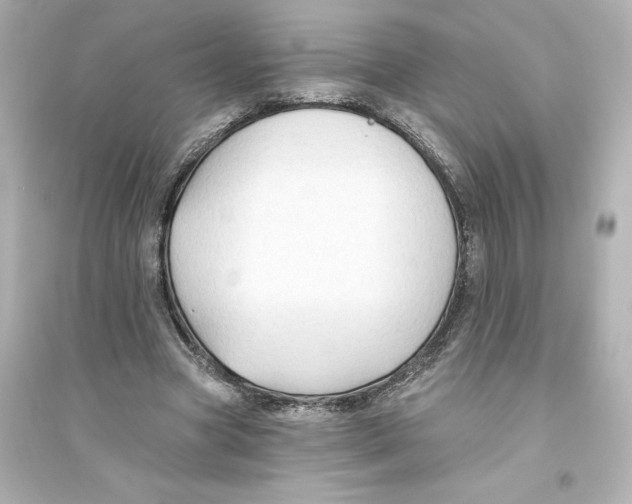 X0000093560537200711121016