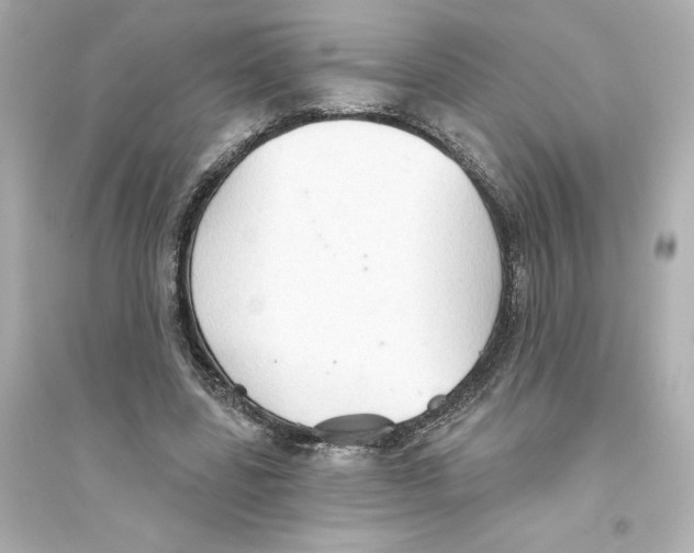X0000093560539200711121016