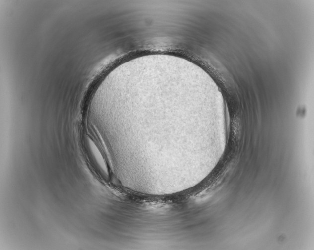 X0000093560540200711121016