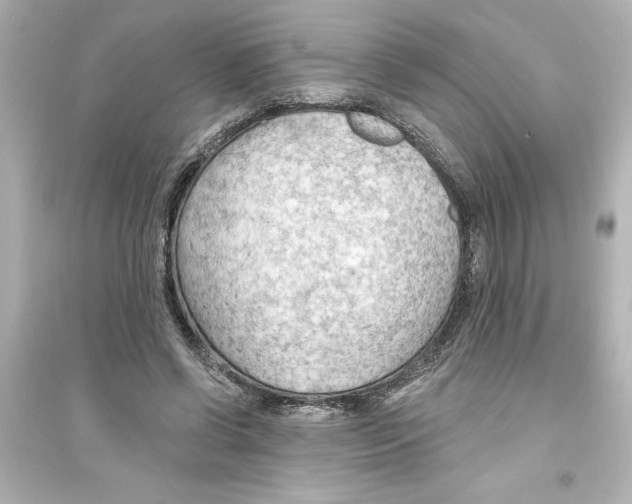 X0000093560542200711121016