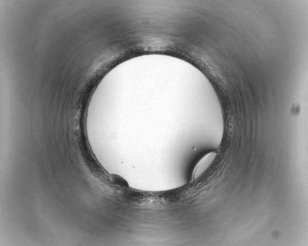 X0000093560543200711121016
