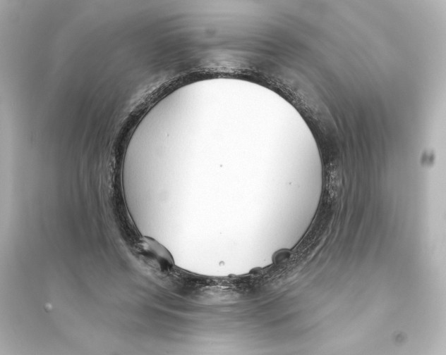 X0000093560544200711121016