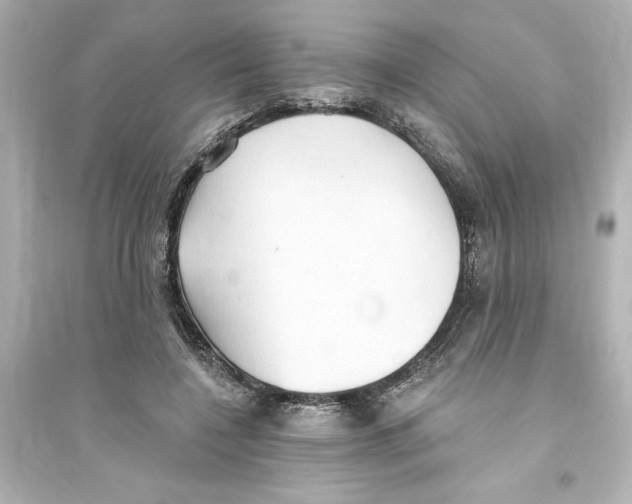 X0000093560548200711121016