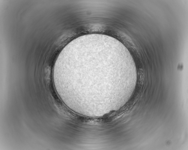 X0000093560550200711121016