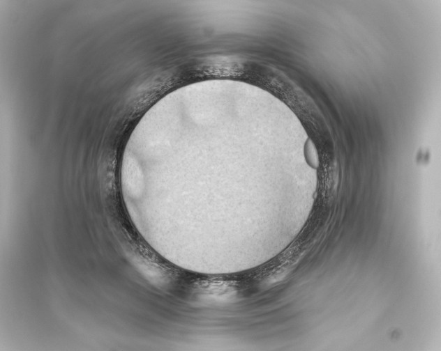 X0000093560553200711121016