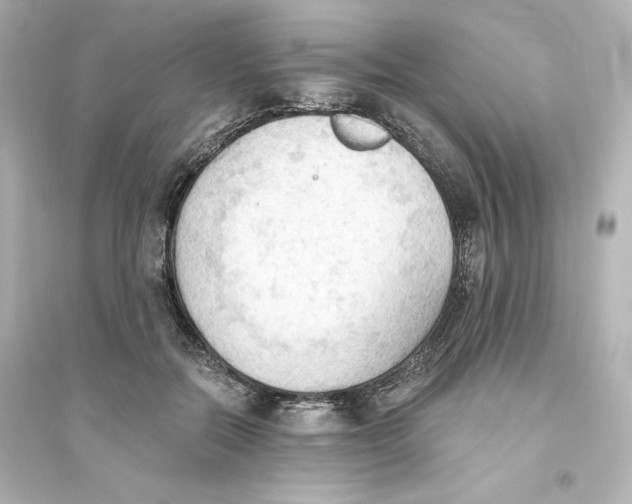 X0000093560554200711121016