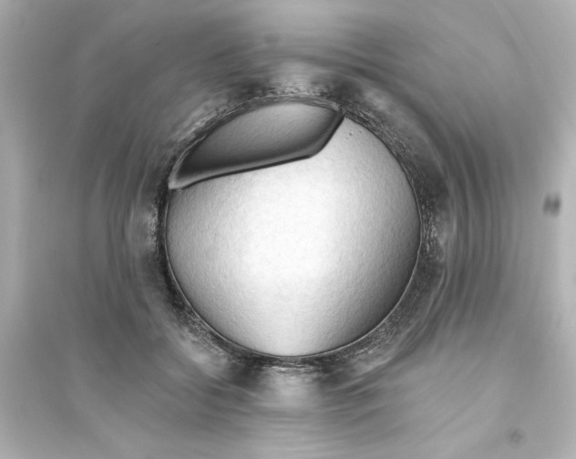 X0000093560556200711121016