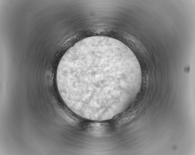 X0000093560558200711121017