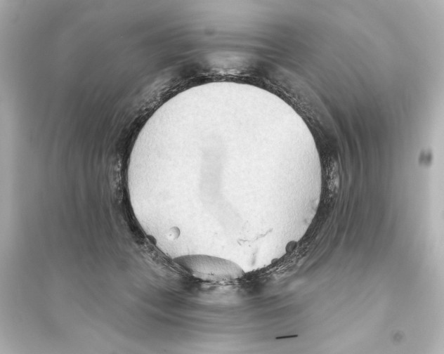 X0000093560559200711121017