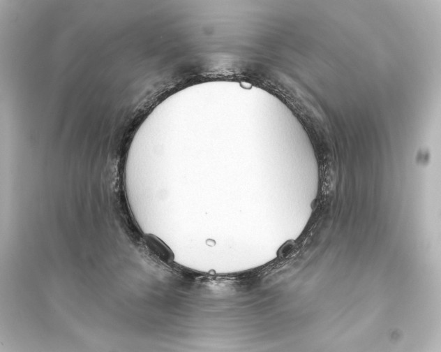 X0000093560560200711121017