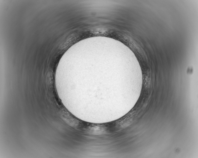 X0000093560561200711121017