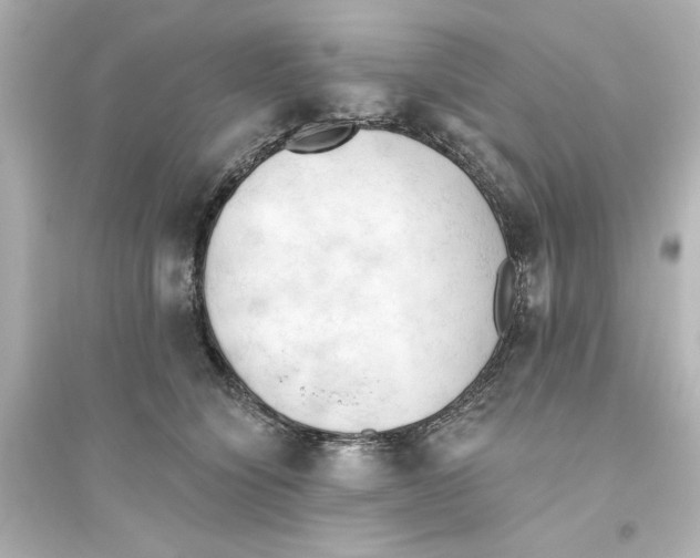 X0000093560564200711121017