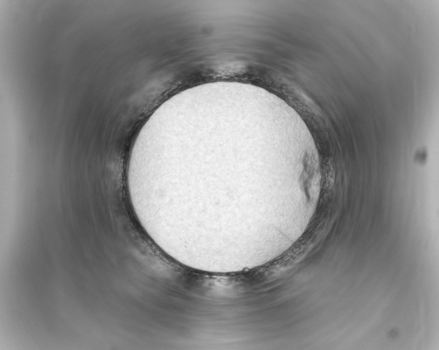 X0000093560565200711121017