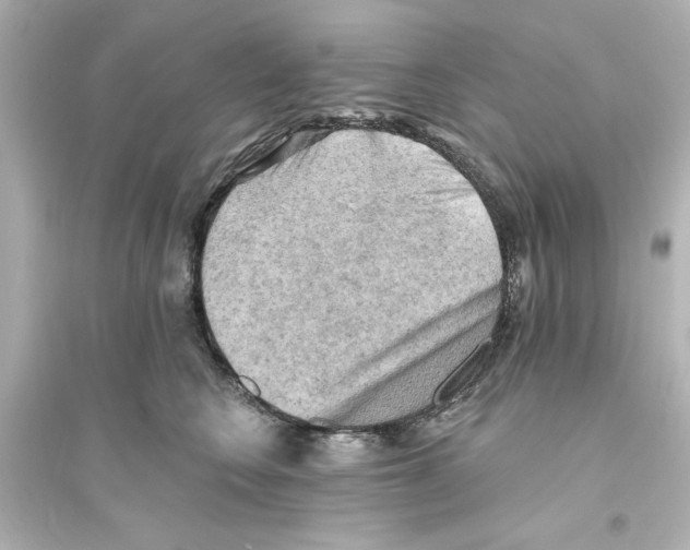 X0000093560566200711121017
