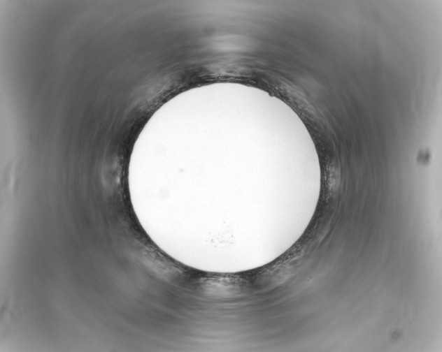 X0000093560567200711121017